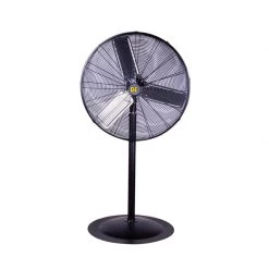 WHAT'S NEW BE FP30 - 30" Oscillating Pedestal Fan